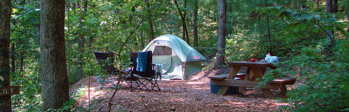 Tent and chairs in woods